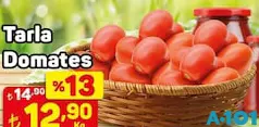 TARLA DOMATES KG fiyat ve kampanya bilgisi